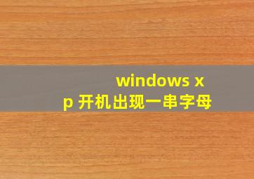 windows xp 开机出现一串字母